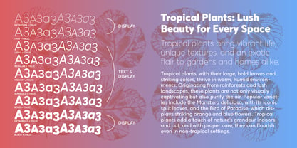 Averta Standard PE Font Poster 6