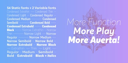 Averta Standard PE Font Poster 3