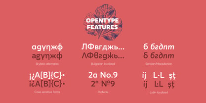 Averta Standard PE Font Poster 10