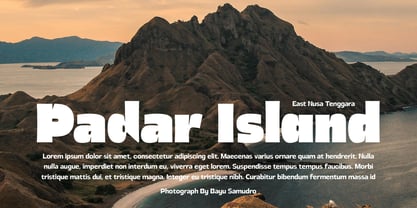 Moneitta Font Poster 13