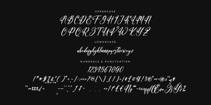 Bracetison Font Poster 7