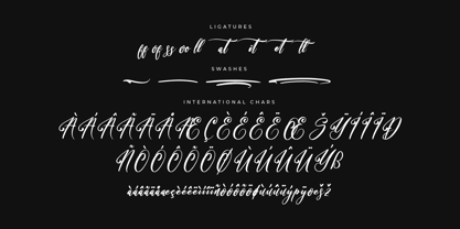 Bracetison Font Poster 8