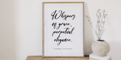 Bracetison Font Poster 2