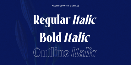 Aesthico Font Poster 5