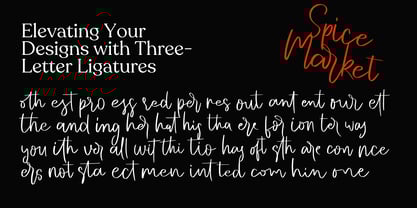 Spice Market Font Poster 8