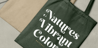 Natural Royale Font Poster 2