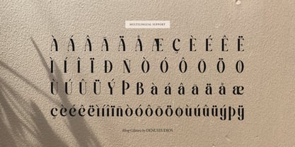 Bling Gilinira Font Poster 14