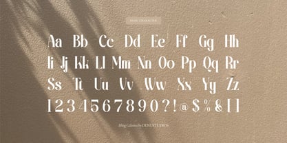Bling Gilinira Font Poster 13