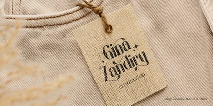 Bling Gilinira Font Poster 12
