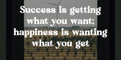 Mistys Relrica Font Poster 5