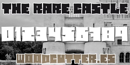 The Rare Castle Font Poster 6