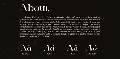 Ainsley Latinesed Font Poster 2