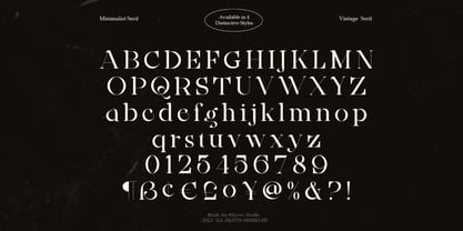 Ainsley Latinesed Font Poster 3