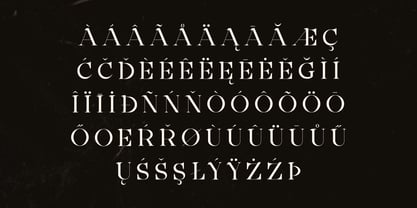 Ainsley Latinesed Font Poster 4