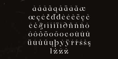 Ainsley Latinesed Font Poster 5