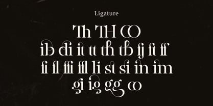 Ainsley Latinesed Font Poster 6