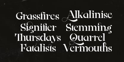 Ainsley Latinesed Font Poster 7