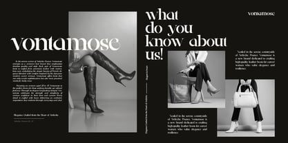 Ainsley Latinesed Font Poster 9