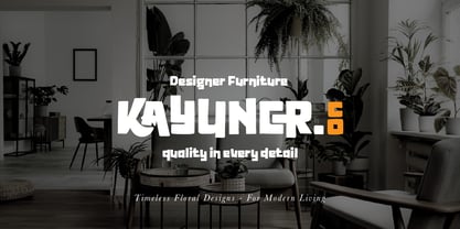 Gymbrand Font Poster 6