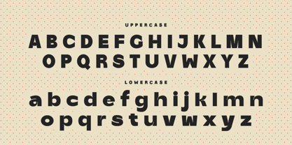 Partyka Font Poster 11