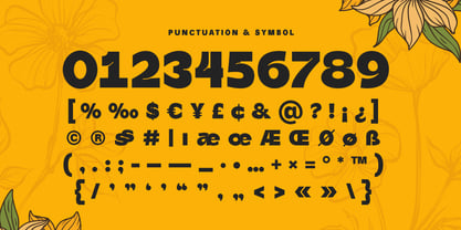 Partyka Font Poster 10