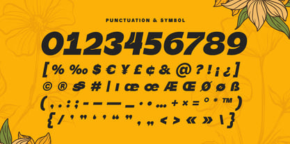 Partyka Font Poster 13