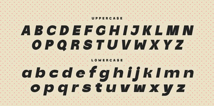Partyka Font Poster 14
