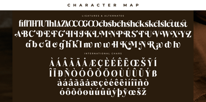 Monstac Realmid Font Poster 8