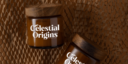 Monstac Realmid Font Poster 5