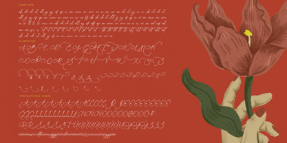 Sunlite Kinetic Font Poster 15