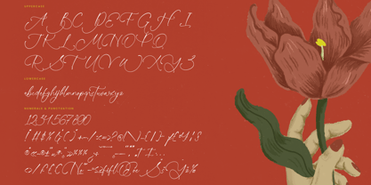 Sunlite Kinetic Font Poster 14