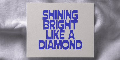 Shandy Molly Font Poster 5