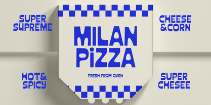 Shandy Molly Font Poster 9