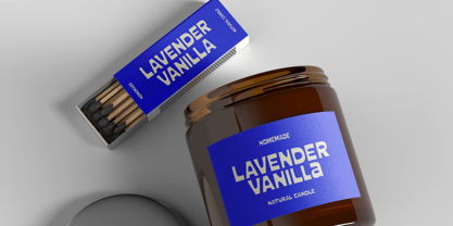 Shandy Molly Font Poster 8