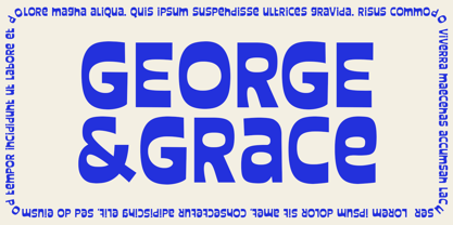 Shandy Molly Font Poster 3