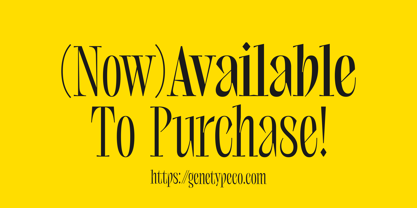 Marthi Font Poster 3