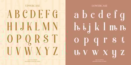 Aslin Alodian Font Poster 13