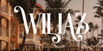 Aslin Alodian Font Poster 5