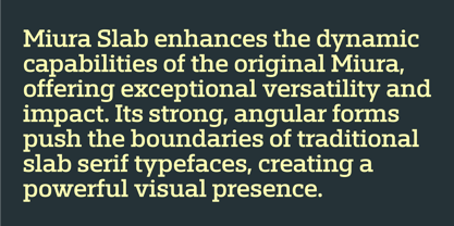 Miura Slab Font Poster 5