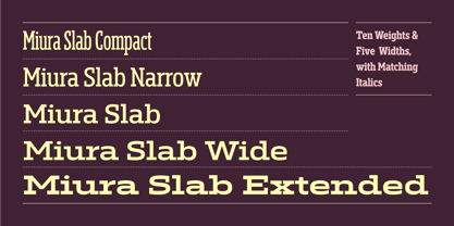 Miura Slab Font Poster 2