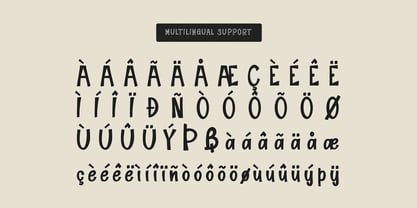 Deux Brother Outline Font Poster 14