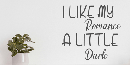 Bonsai Duo Font Poster 2