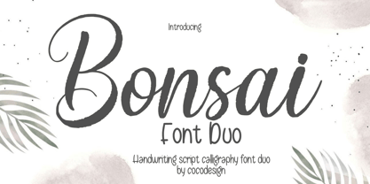 Bonsai Duo Font Poster 1