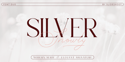 Silver Snowly Font Poster 1