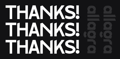 Allagra Font Poster 7