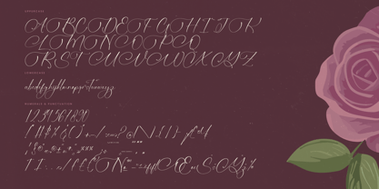 Michelin Samantha Font Poster 14