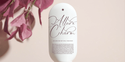 Michelin Samantha Font Poster 11