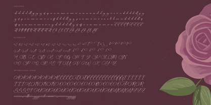 Michelin Samantha Font Poster 15