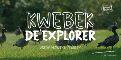 Peak Comedy Font Poster 3