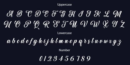 Aulora Script Font Poster 5